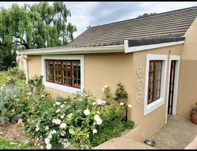 118HA FARM FOR SALE IN GREYTON